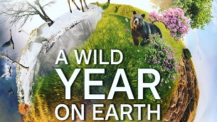 A Wild Year on Earth (2020)