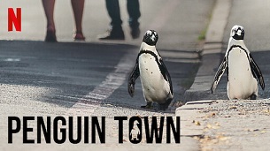 Penguin Town (2021)